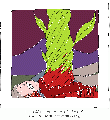 Thumbnail for version as of 19:42, 30 July 2023